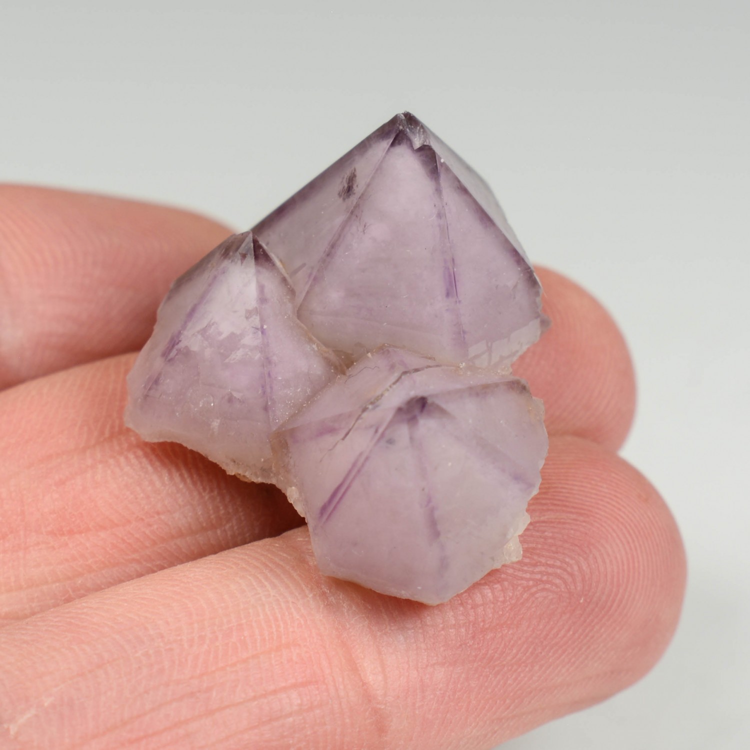 Amethyst - Les Rioux de la Barre, Puy-de-Dôme, France