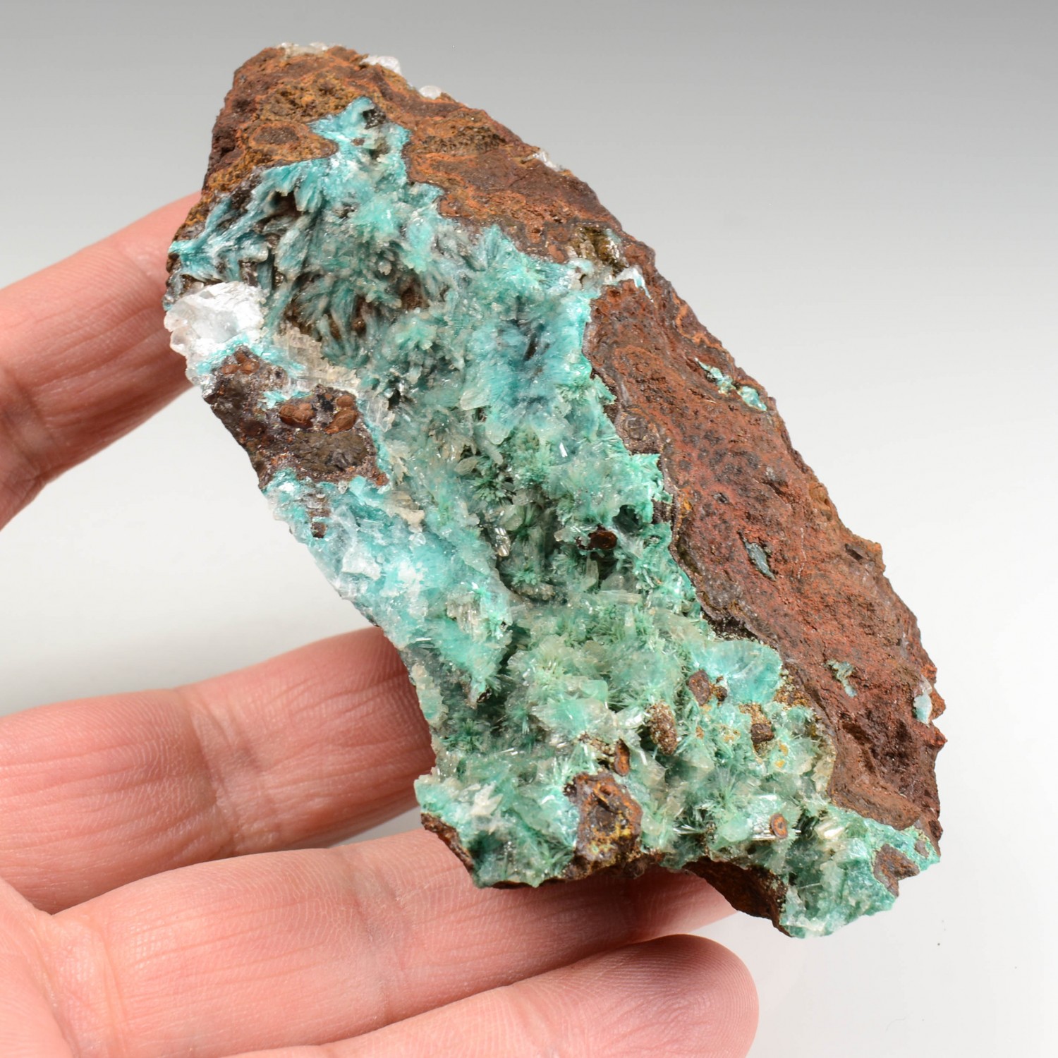 Aurichalcite et calcite - Mine Ojuela, Mapimi, Durango, Mexique