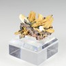 Rutile et hématite - Novo Horizonte, Bahia, Brésil