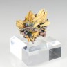 Rutile et hématite - Novo Horizonte, Bahia, Brésil