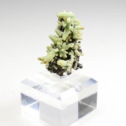 Plumbogummite psm après pyromorphite - Mine Yangshuo, Guilin, Province de Guangxi, Chine