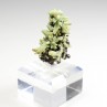 Plumbogummite psm after pyromorphite - Yangshuo Mine, Guilin, Guangxi Province, China