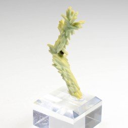 Plumbogummite psm après pyromorphite - Mine Yangshuo, Guilin, Province de Guangxi, Chine