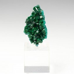 Dioptase - Brazzaville, République du Congo