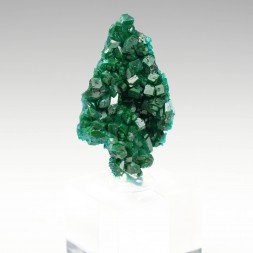 Dioptase - Brazzaville, Republic of Congo