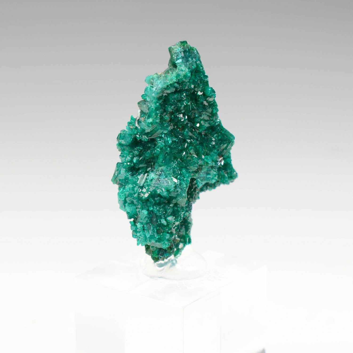 Dioptase - Brazzaville, République du Congo