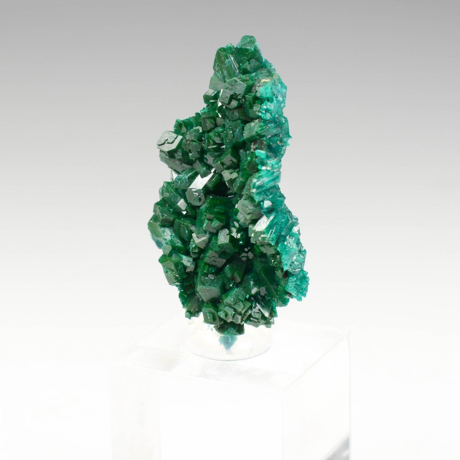 Dioptase - Brazzaville, République du Congo