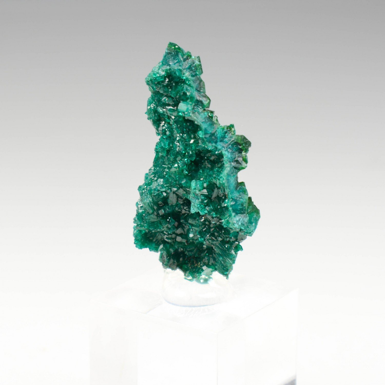 Dioptase - Brazzaville, République du Congo