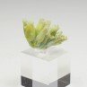 Plumbogummite psm after pyromorphite - Yangshuo Mine, Guilin, Guangxi Province, China