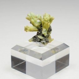 Plumbogummite psm après pyromorphite - Mine Yangshuo, Guilin, Province de Guangxi, Chine