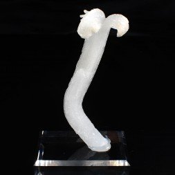 Gypsum - Qinglong Mine, Guizhou Province, China