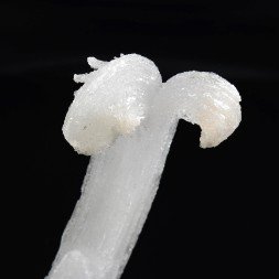 Gypsum - Qinglong Mine, Guizhou Province, China