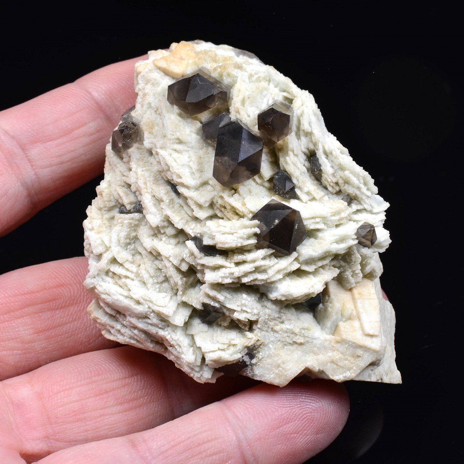 Smoky quartz and microcline - North Moat Mountain, New Hampshire, United States