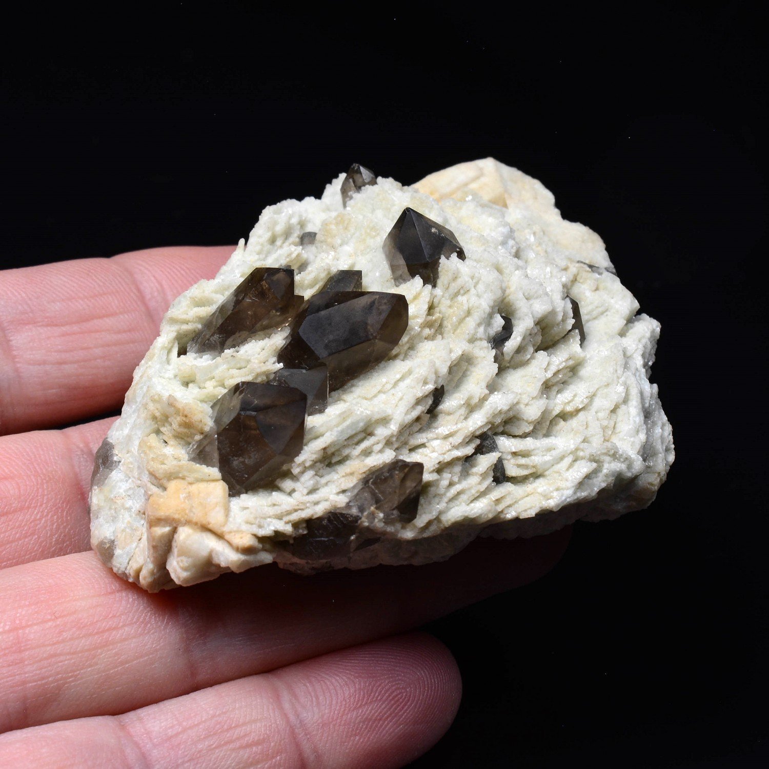 Smoky quartz and microcline - North Moat Mountain, New Hampshire, United States