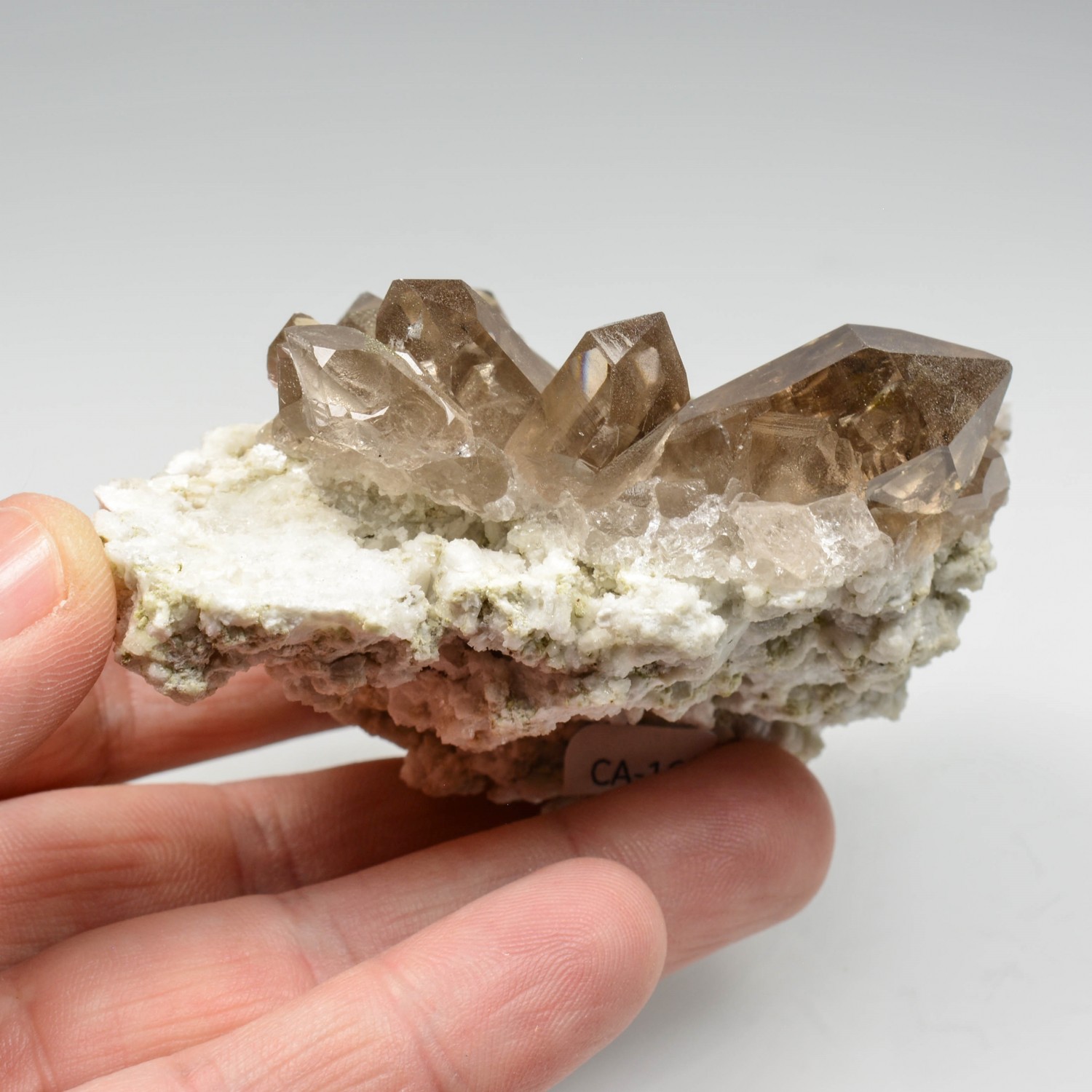 Quartz fumé - Aiguille d'Argentière, Massif du Mont-Blanc, Haute-Savoie, France