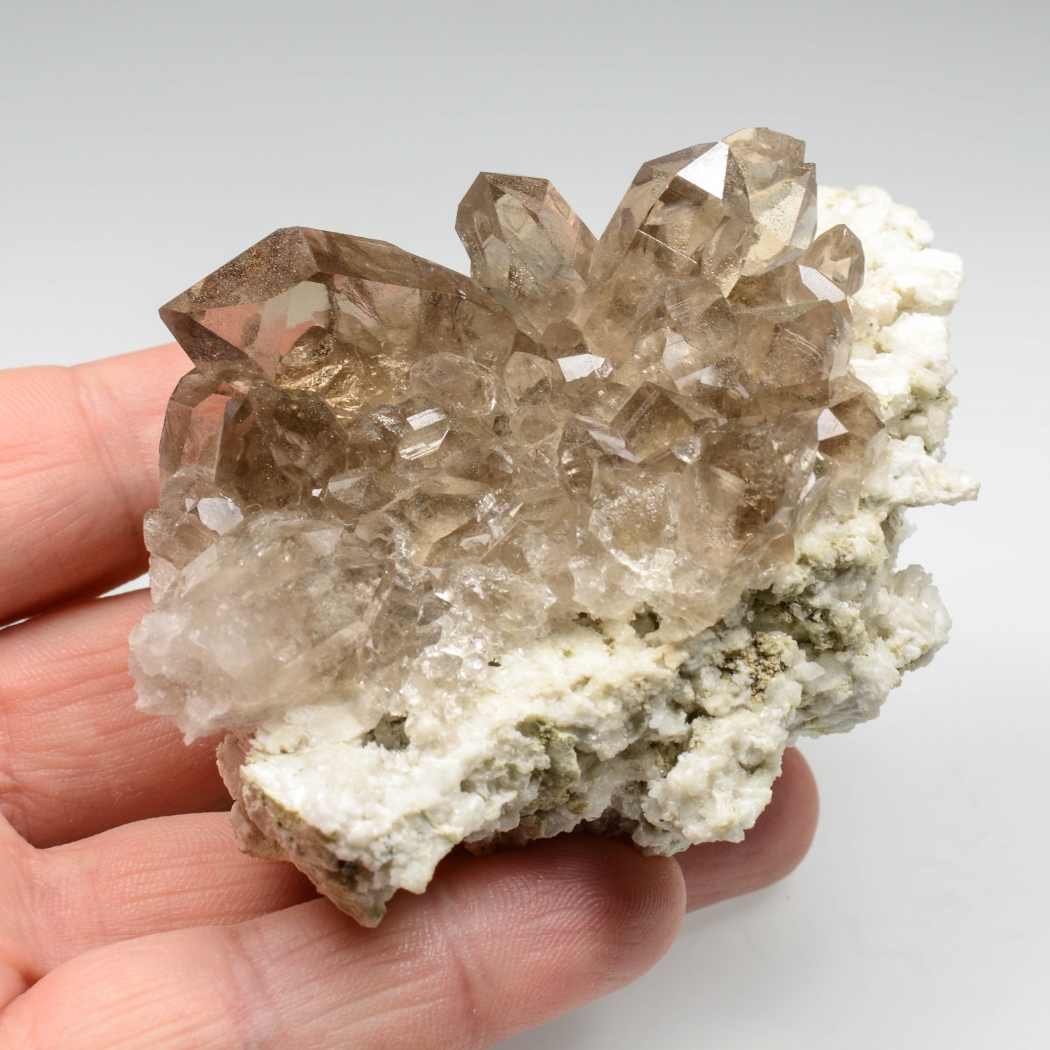 Quartz fumé - Aiguille d'Argentière, Massif du Mont-Blanc, Haute-Savoie, France