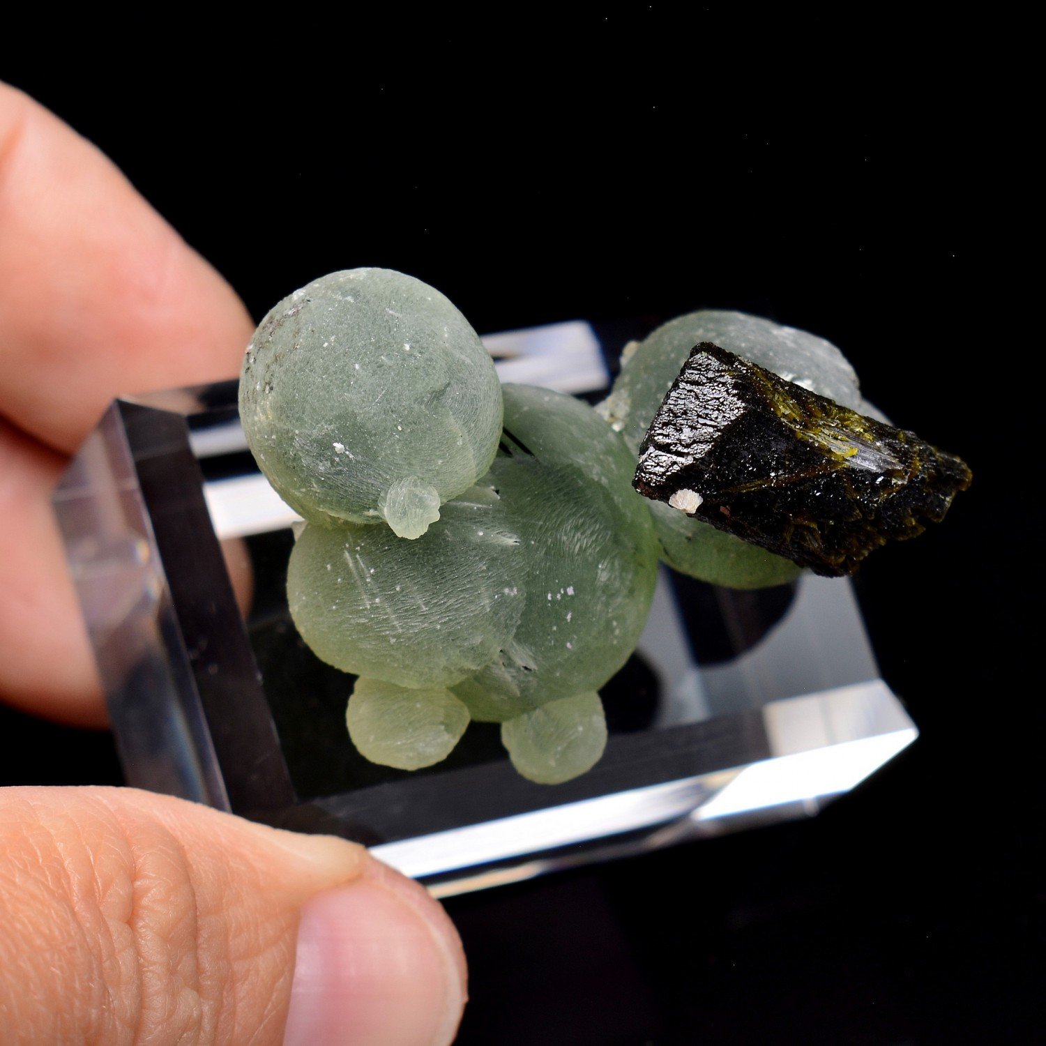 Epidote on prehnite - Diamonkara, Kayes, Mali