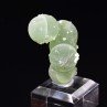Prehnite - Diamonkara, Kayes, Mali
