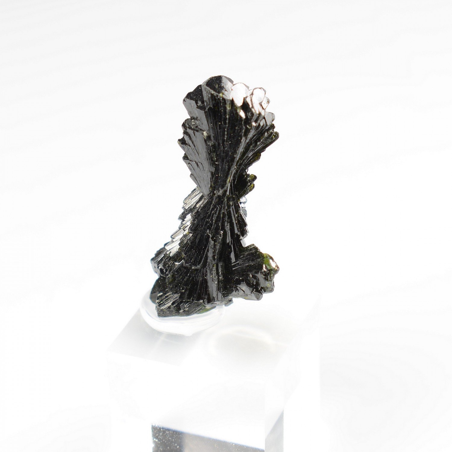 Epidote " bowtie " - Kharan district, Baluchistan, Pakistan