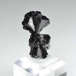 Epidote " bowtie " - Kharan district, Baluchistan, Pakistan