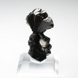 Epidote " bowtie " - Kharan district, Baluchistan, Pakistan