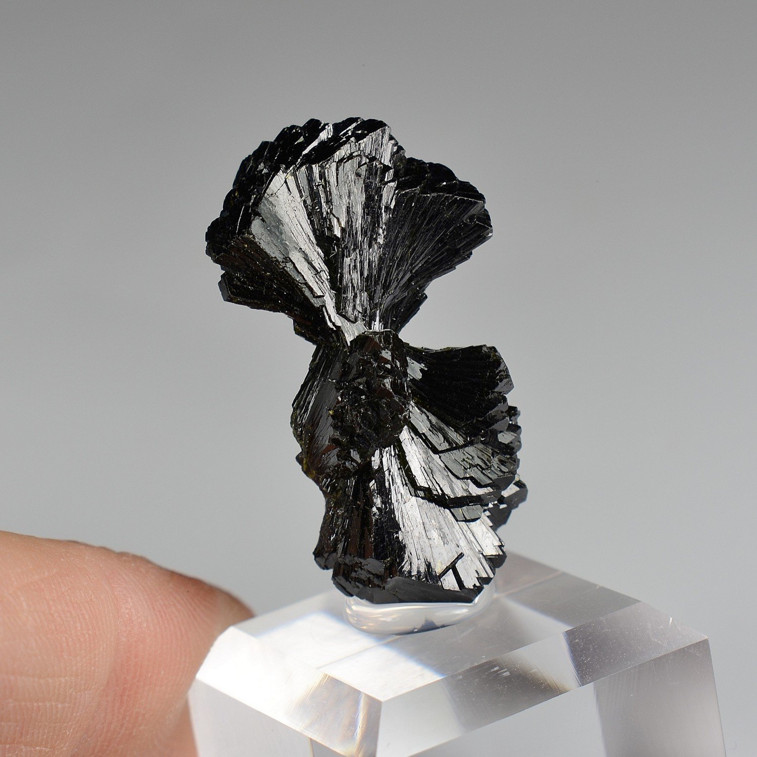 Epidote " bowtie " - Kharan district, Baluchistan, Pakistan