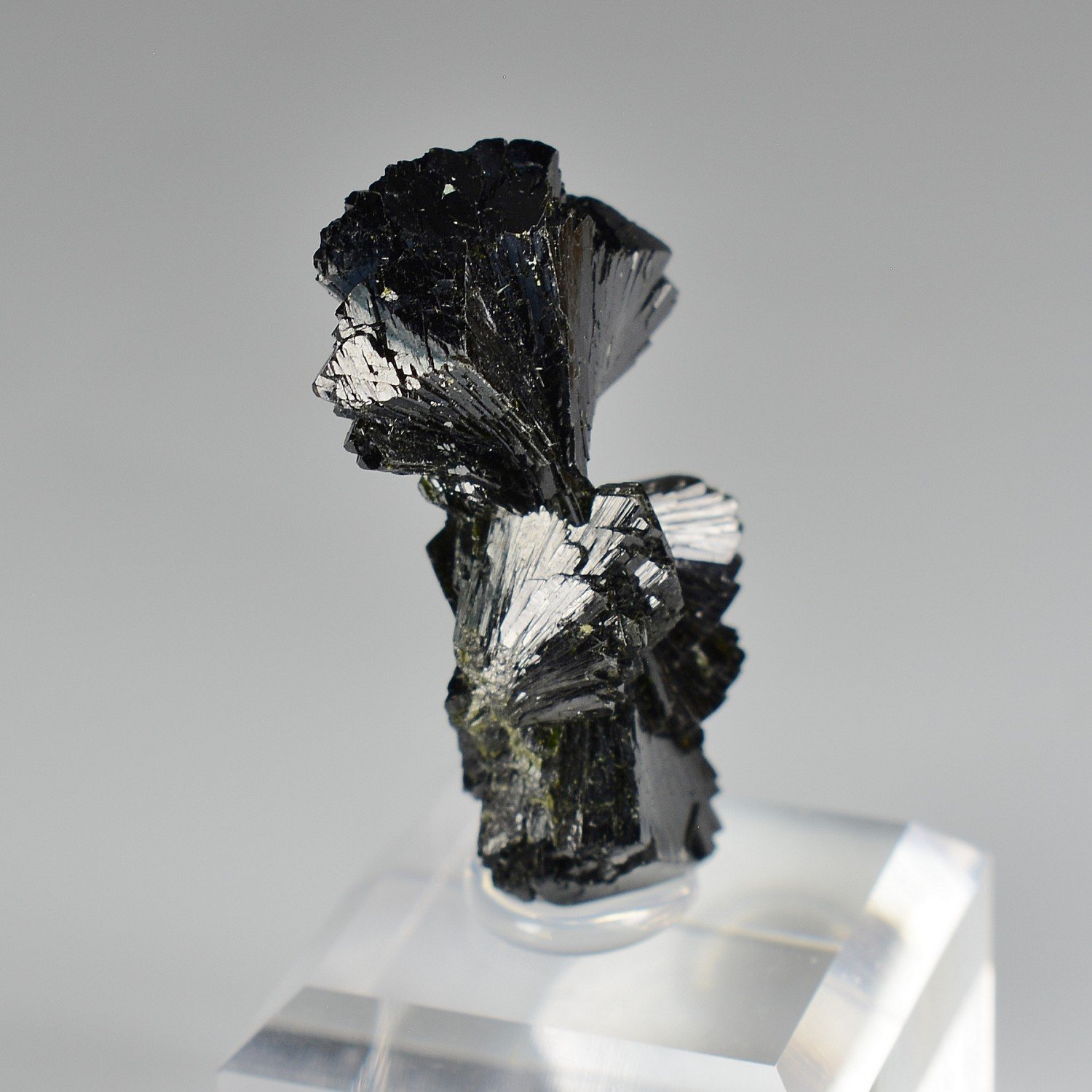 Epidote " bowtie " - Kharan district, Baluchistan, Pakistan