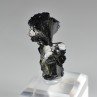 Epidote " nœud papillon " - District de Kharan, Baluchistan, Pakistan