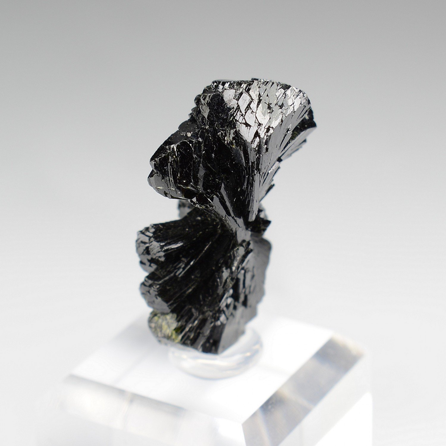 Epidote " bowtie " - Kharan district, Baluchistan, Pakistan