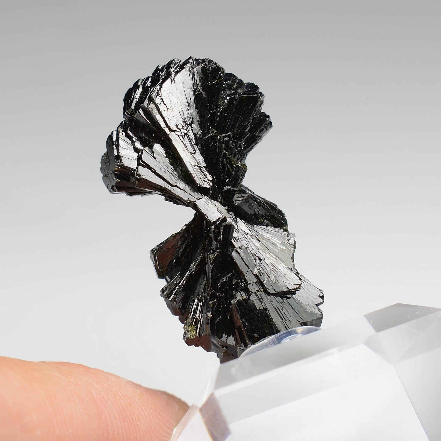 Epidote " bowtie " - Kharan district, Baluchistan, Pakistan