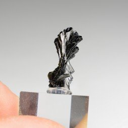 Epidote " bowtie " - Kharan district, Baluchistan, Pakistan