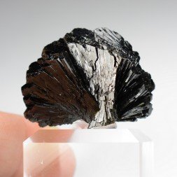 Epidote " fan " - Kharan district, Baluchistan, Pakistan