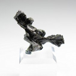 Epidote " nœud papillon " - District de Kharan, Baluchistan, Pakistan