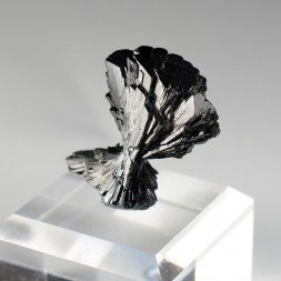 Epidote " nœud papillon " - District de Kharan, Baluchistan, Pakistan