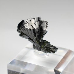 Epidote " bowtie " - Kharan district, Baluchistan, Pakistan