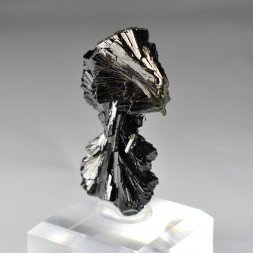 Epidote " bowtie " - Kharan district, Baluchistan, Pakistan