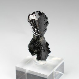 Epidote " nœud papillon " - District de Kharan, Baluchistan, Pakistan