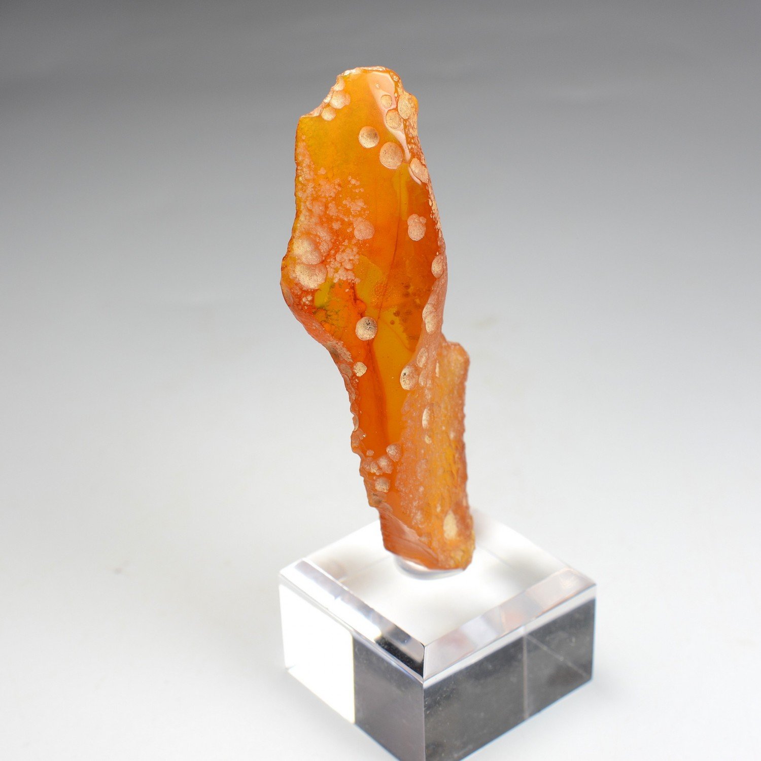 Amber - Chevrière, Oise, France