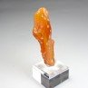 Amber - Chevrière, Oise, France