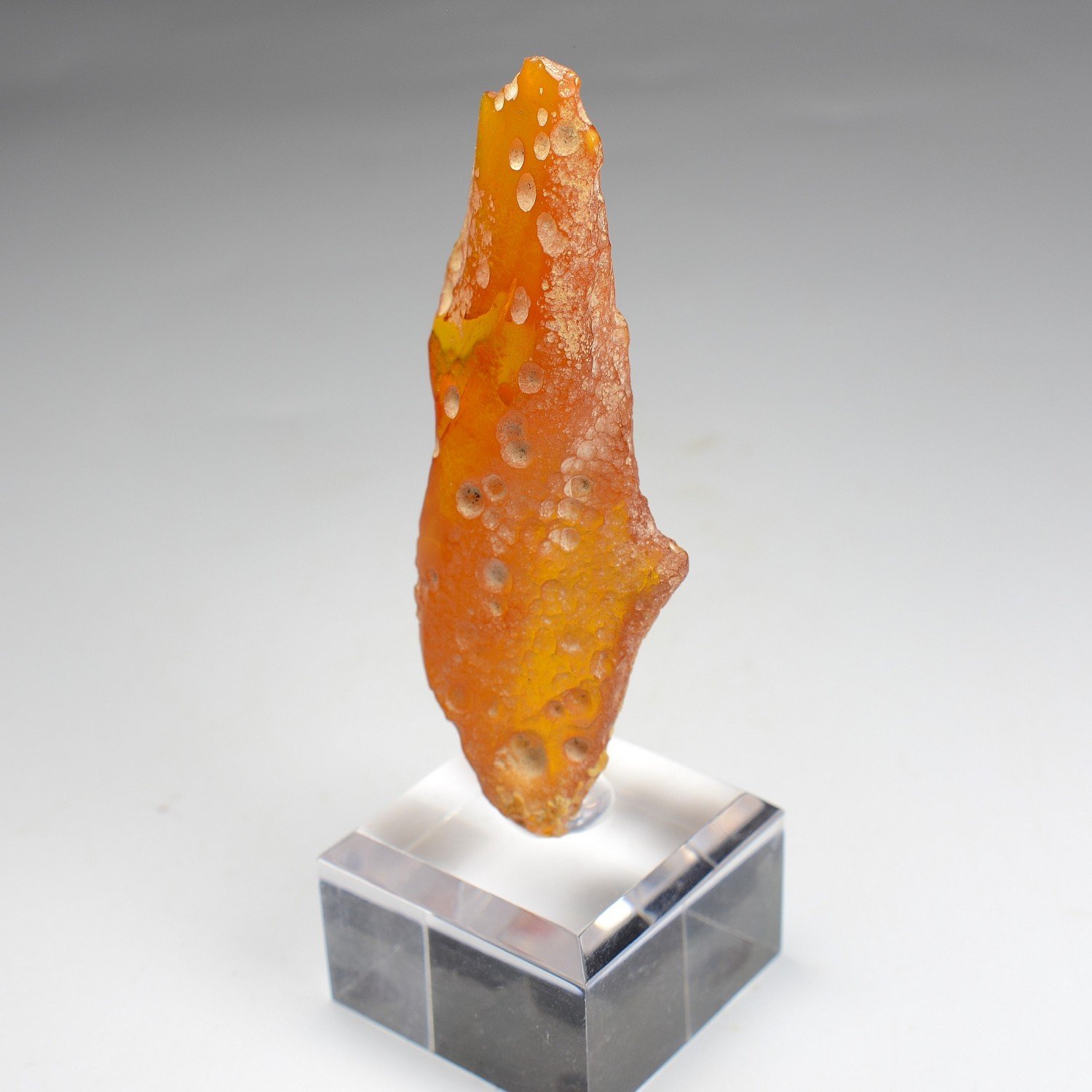 Amber - Chevrière, Oise, France