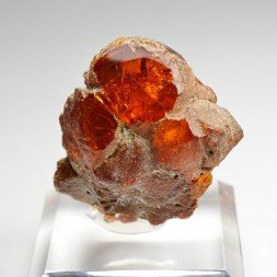 Ambre - Chevrière, Oise, France