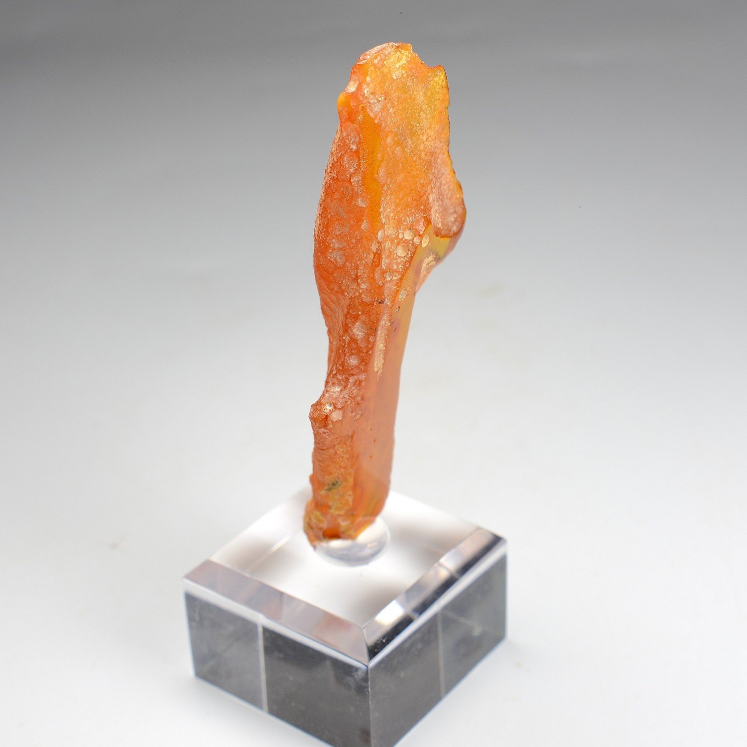 Amber - Chevrière, Oise, France