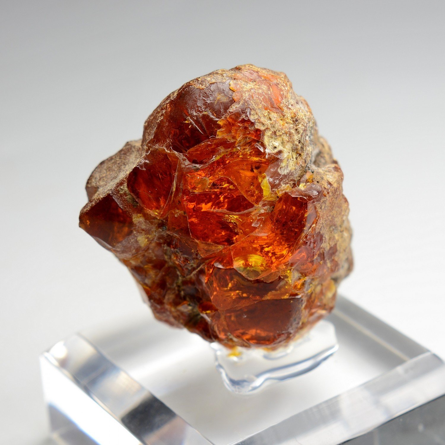 Amber - Chevrière, Oise, France