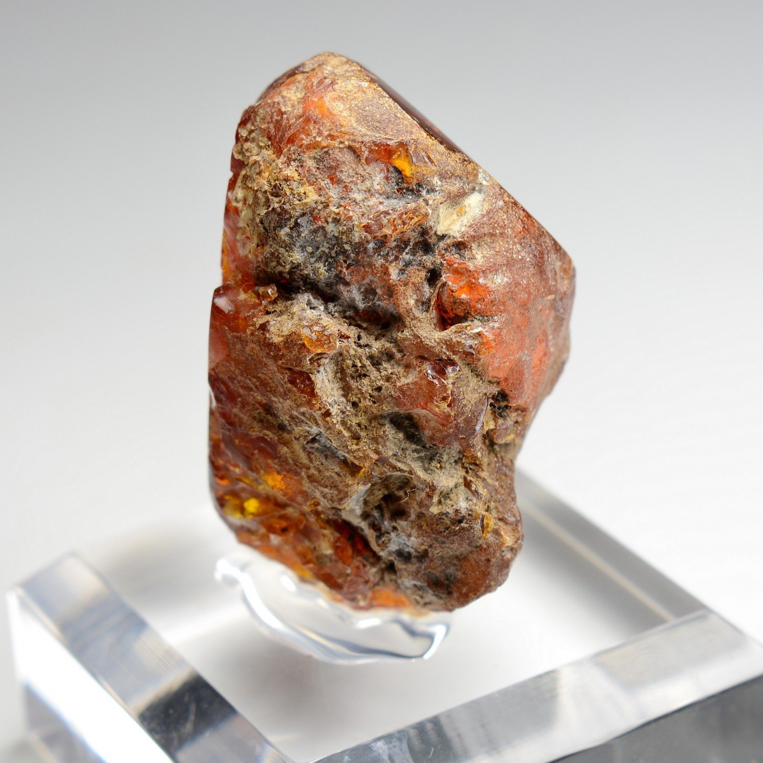 Amber - Chevrière, Oise, France