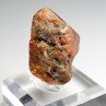 Amber - Chevrière, Oise, France