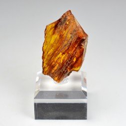 Amber - Chevrière, Oise, France