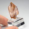 Amber - Chevrière, Oise, France