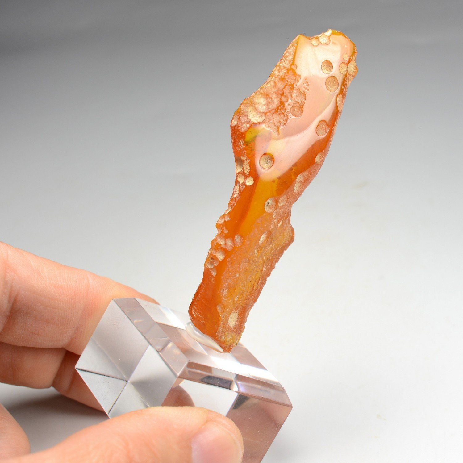 Amber - Chevrière, Oise, France