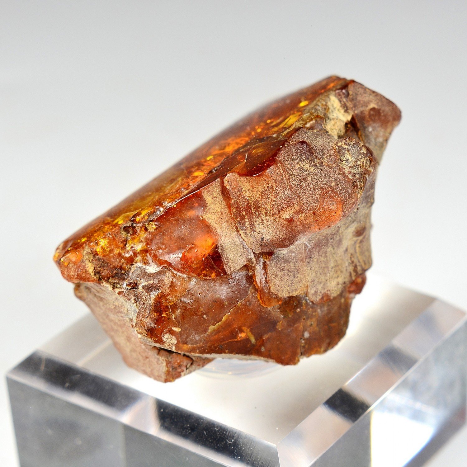 Amber - Chevrière, Oise, France