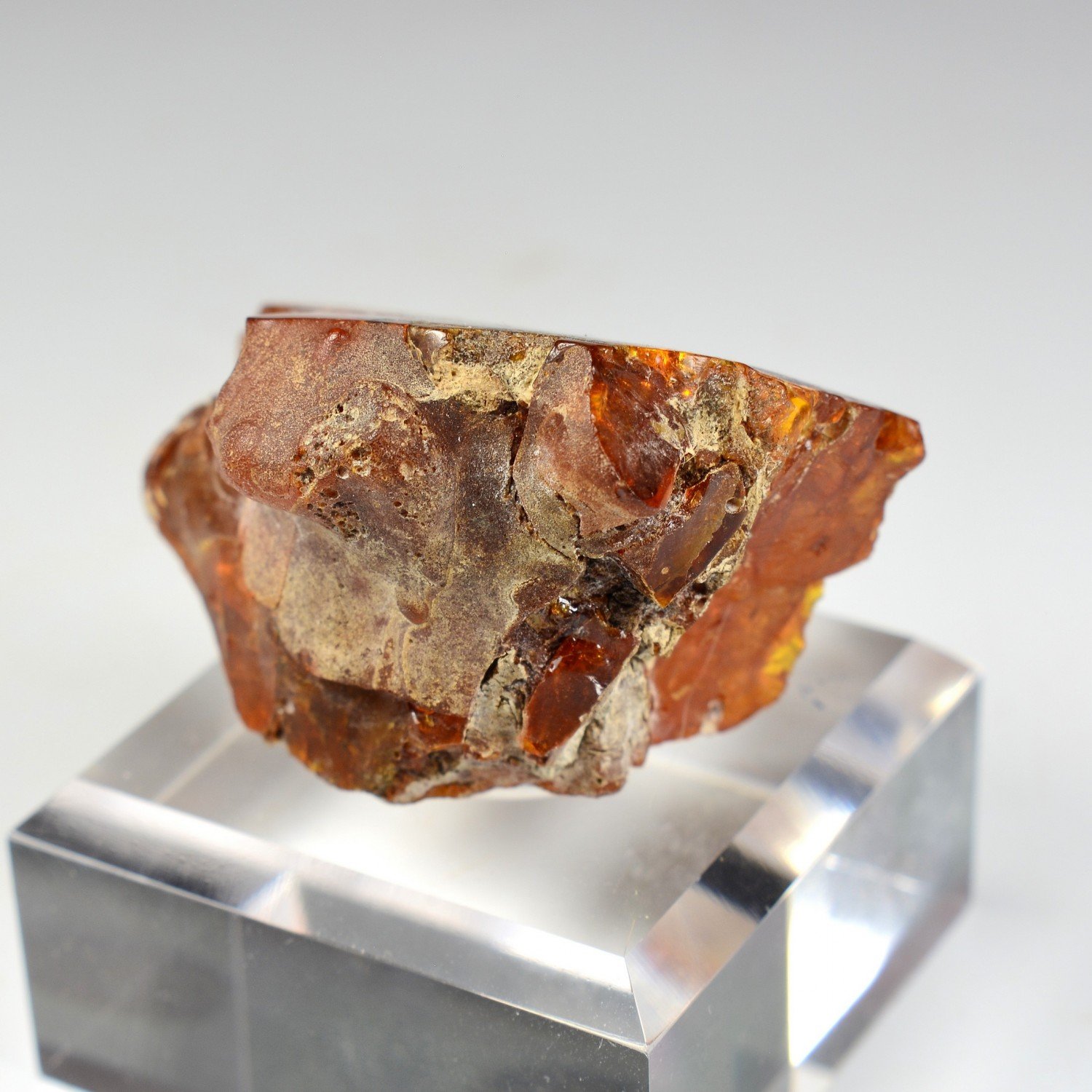 Amber - Chevrière, Oise, France